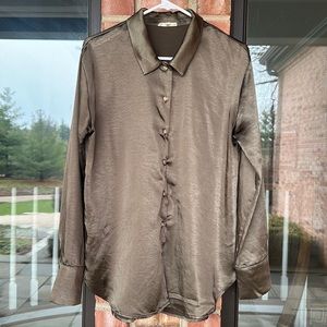 Satin Metal Color Blouse